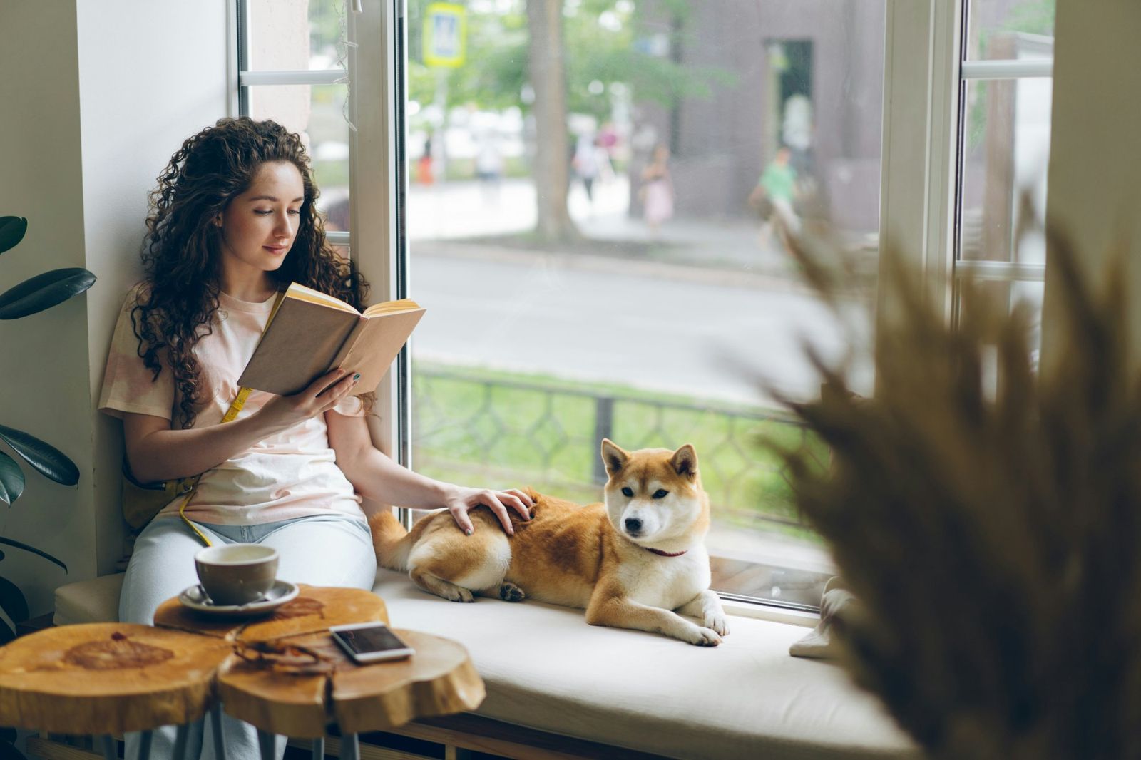 Woman reading a book by a window while petting a dog, a cup of tea on the table