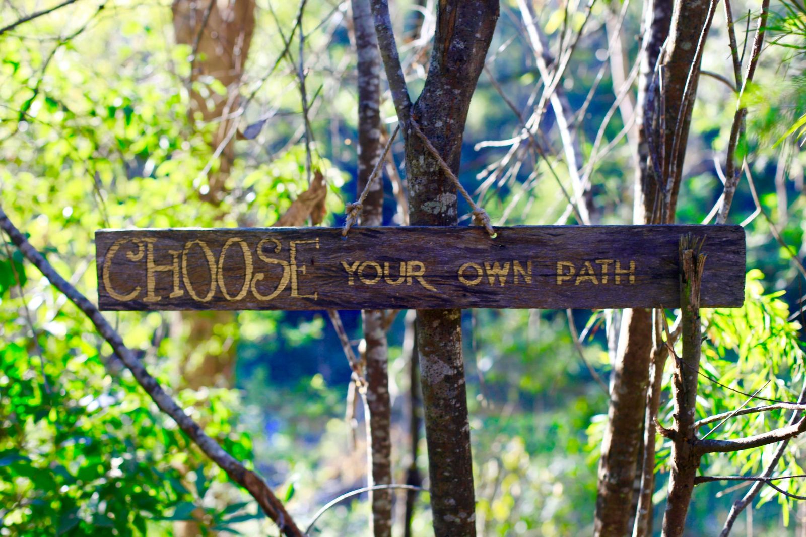 Wooden sign in a forest reading 'Choose your own path', representing the personal nature of yin yoga practice